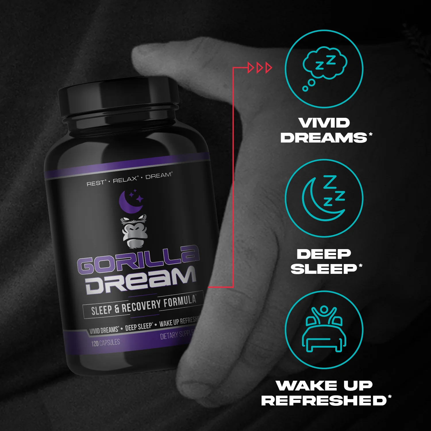 Gorilla Dream - Image 3